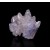 Calcite and Fluorite La Viesca M04583